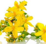 St. John's wort to stimulate activity
