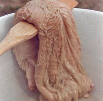 camel's stomach to boost potency